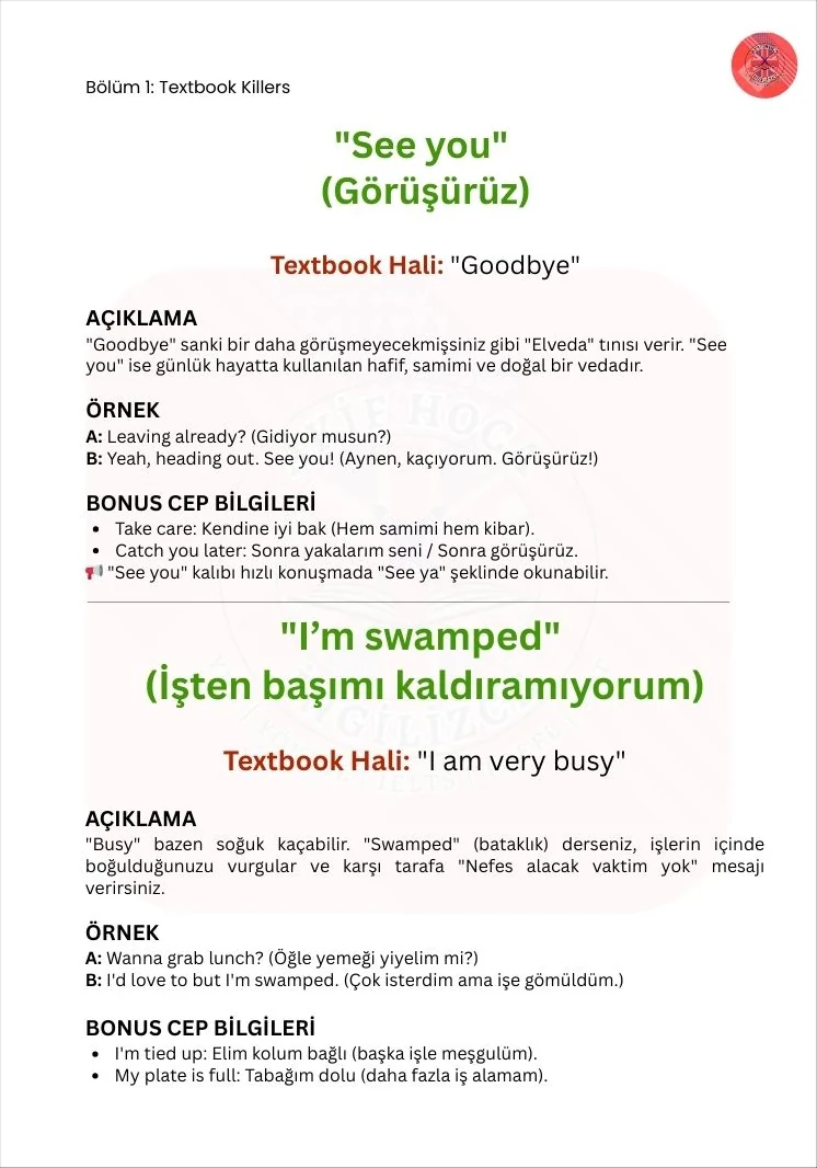 Kitaptan örnek sayfa: "See you" ve "I'm swamped" ifadeleri, açıklamaları ve örnek diyaloglar